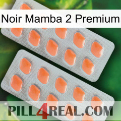 Black Mamba 2 Premium 27